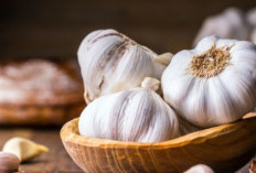 Tanaman Herbal Penurun Tekanan Darah Tinggi yang Aman Dikonsumsi