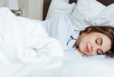 Stop Begadang! Ini Waktu Tidur yang Bikin Hidup Lebih Bahagia