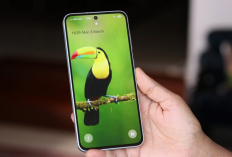 Geekbench Ungkap Identitas Galaxy A57! Exynos 1680 Muncul dengan Skor Mengejutkan