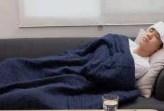 Demam Tak Kunjung Stabil? Kenali Penyebab, Fase DBD, dan Tanda Bahayanya