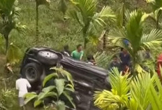 Fortuner Terperosok di Perkebunan Sawit