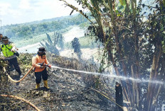 Tim Pencegah Kebakaran OKUS Temukan Hotspot Karhutla