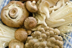 Bukan Sekadar Lauk, Jamur Ternyata Bisa Cegah Alzheimer dan Demensia