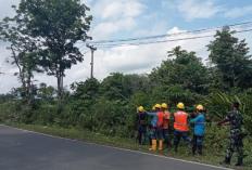PLN Imbau Warga Waspada Aktivitas Berbahaya di Sekitar Jaringan Listrik