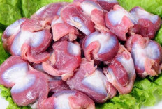 Ampela Ayam, Sumber Nutrisi Padat Gizi dengan Segudang Manfaat Kesehatan