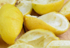 Rahasia Kesehatan Tersembunyi di Balik Kulit Lemon