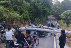 Dua Tiang Listrik Roboh di Pantai Pelangi Danau Ranau, Arus Lalu Lintas Sempat Lumpuh