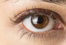 Tips Efektif Menjaga Kesehatan Mata Agar Tetap Optimal 