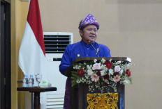 Gubernur Herman Deru Minta Wartawan Awasi Angkutan batubara 