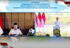 Prabowo Resmikan PLTP Gunung Tiga