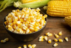 Rahasia Sehat dari Jagung yang Kaya Manfaat