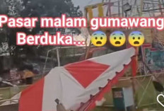 Porak Poranda Dihantam Angin Kencang
