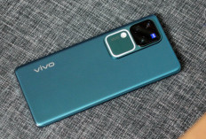 Vivo Bagi Segmen Pasar Smartphone 2025, Seri V, T, dan X Punya Target Berbeda