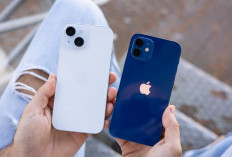 iPhone 12 Makin Langka di Tahun 2025, Harga Turun 