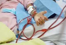 7 Gejala Gagal Ginjal pada Anak yang Wajib Dikenali Orang Tua Sejak Dini