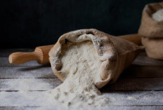 Tepung Garut dan Asam Lambung: Solusi Alami untuk Perut Nyaman