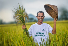 Kemenag dan Baznas Perkuat Data Ekosistem Zakat