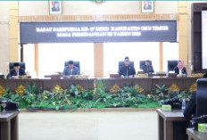 Pertumbuhan Ekonomi Tertinggi di Sumsel, OKU Timur Makin Maju Pesat