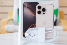 iPhone 16 Pro Resmi Hadir di Indonesia, Ini Spesifikasi dan Harganya