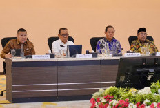 Wamen Ossy Pastikan Revisi Perpres RTR Perkuat Mitigasi Bencana