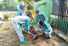 Tanam Pohon untuk Tingkatkan Resapan Air dan Kurangi Polusi