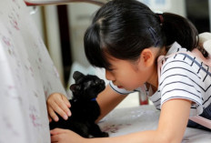  Bahaya Bulu Kucing yang Harus Diketahui Orang Tua