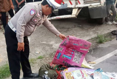 Pemotor Tewas Masuk Kolong Truk LPG di OKU Timur