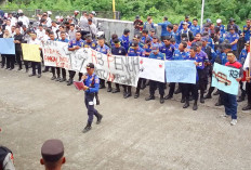 Ajukan 7 Tuntutan Honorer Pemkot Lubuklinggau Demo