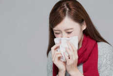 Bukan Sekadar Panas: Mengenal Demam Akibat Serangan Virus