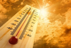 Cuaca Panas Ekstrem dan Ancaman Heat Stroke