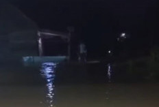 Banjir Tengah Malam, Warga Panik Selamatkan Diri