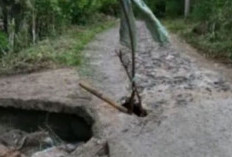 Jalan Penghubung Mekakau Ilir–Pulau Beringin Rusak Parah