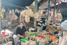 Penjual Bungkus Ketupat Menjamur