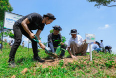 Pulihkan Hutan Bekas Tambang, Aksi Nyata Kelompok Tani Selamatkan Lingkungan Bersama BRI Menanam-Grow & Green