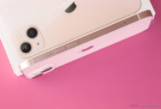 Rekomendasi iPhone Terbaik 2025, Kenapa iPhone 13 Masih Jadi Pilihan Banyak Orang?