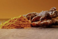Dari Jerawat hingga Antiaging, Ini Khasiat Temulawak Skincare