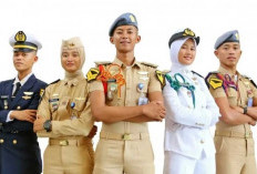 8 Sekolah Kedinasan Paling Diminati 2024: Siap-Siap Daftar di 2025!
