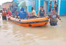 Cuaca Ekstrem Akibatkan Banjir hingga Pohon Tumbang