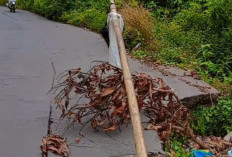 Tergerus Hujan dan Truk Overload, Jalan Provinsi Amblas Parah