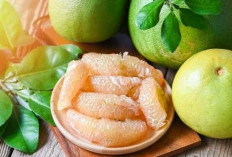 11 Manfaat Jeruk Bali untuk Kesehatan: Kaya Vitamin C, Baik untuk Jantung, Pencernaan, hingga Kulit