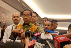 Sarankan Jokowi Bentuk Partai Baru 