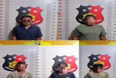 Lima Tersangka Pencurian Sawit Ditangkap
