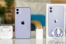 iPhone 11 Masih Diburu di 2025, Harga Baru Mulai Rp 6,4 Juta