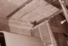 Bandit Motor Intai Rumah Warga, Aksinya Terekam CCTV 