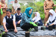 Atasi Inflasi, Gelar Gerakan Tanam Cabai 