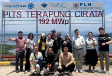 Pulang Kotor