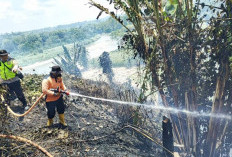 Temukan Titik Api Akibat Karhutla