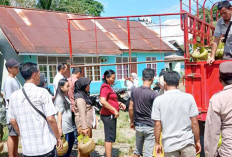 Laporkan Penyelewengan LPG 3 Kg