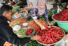 Harga Cabai Rawit Melambung Tinggi Tembus Rp65 Ribu