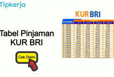 Bunga Rendah, Pinjaman KUR BRI Kian Diminati Agus Ingin Buka Pangkalan Gas 